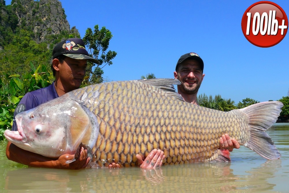 Fishing in Thailand - November 2019 23