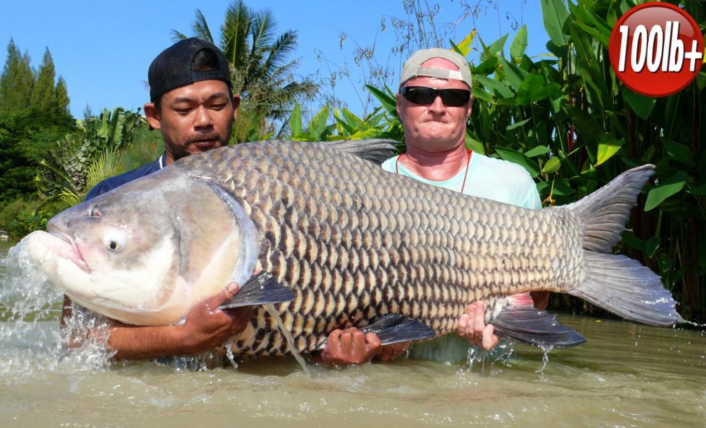 Fishing in Thailand - November 2019 25